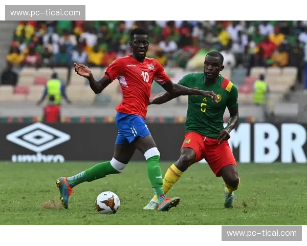 预测非洲杯：谁能登顶？权威分析与黑马发掘指南